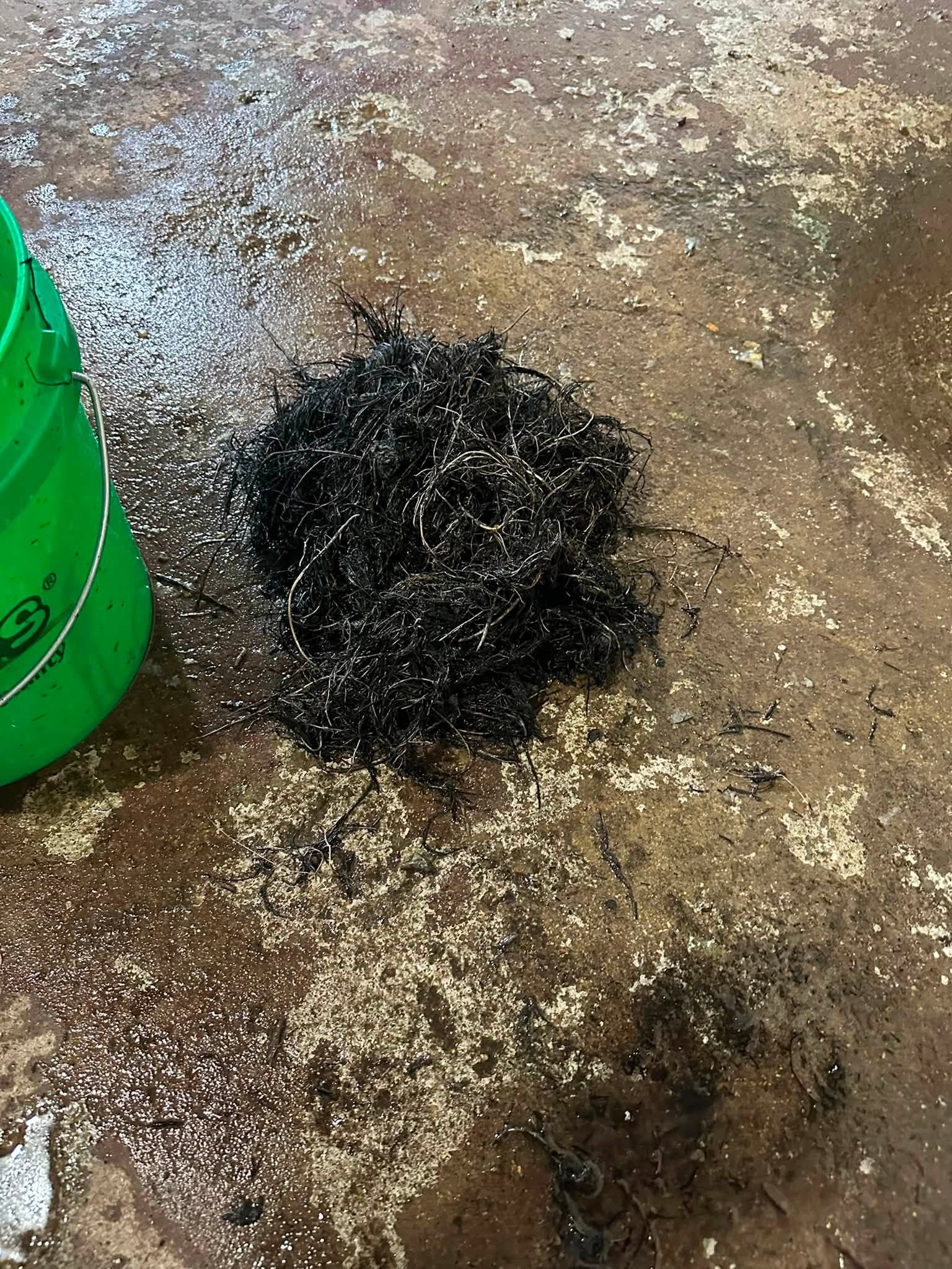 Debris pulled out of a blocked drain line in Iowa City